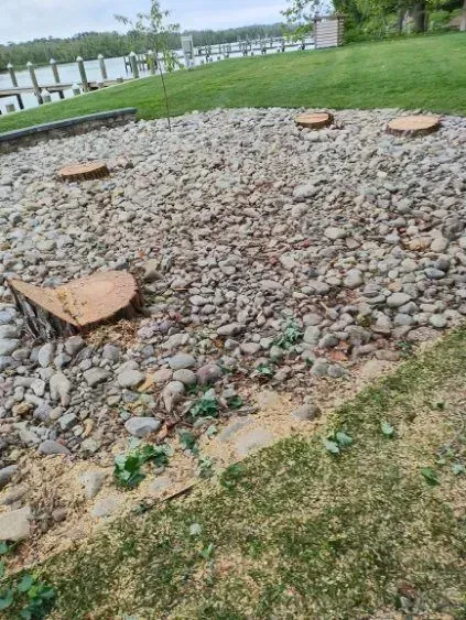Rocks and small plants cover a landscaped area with wooden stepping stones. Background shows a lake.
