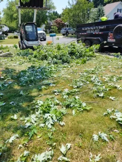 A lawn strewn with freshly cut green branches. A skid steer and dump trailer sit nearby.