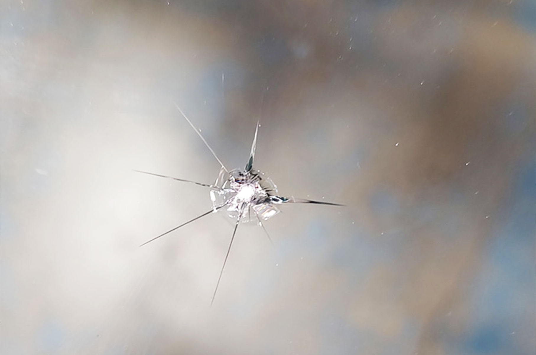 Small spider with long legs on a glass surface, centered against a blurred beige background