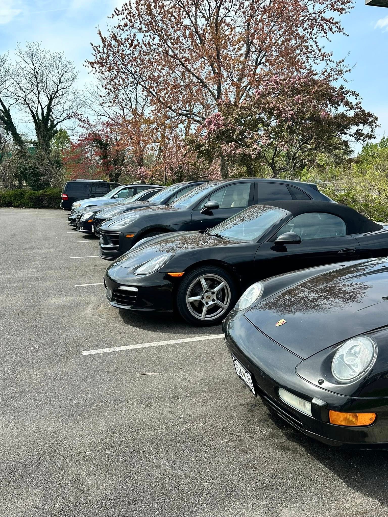 Black cars parked in a row outside, under a blooming tree, on a sunny day.