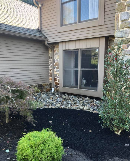 Exterior of a house with tan siding, stone accents, a dark-trimmed window, and a garden bed with mulch and shrubs.