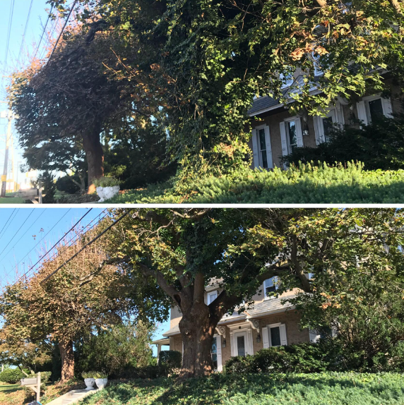 Two side-by-side photos showing the same residential house