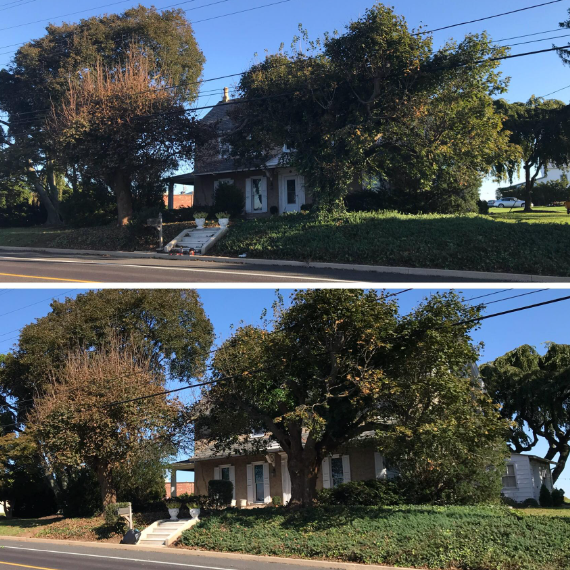 Two photos showing the same tan, two-story house with a white porch and large trees along a road during a sunny day.