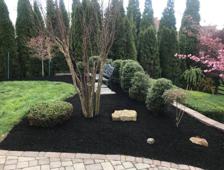 A garden bed with fresh black mulch, several shrubs, a small tree, decorative stones, and a path leading to a bench.