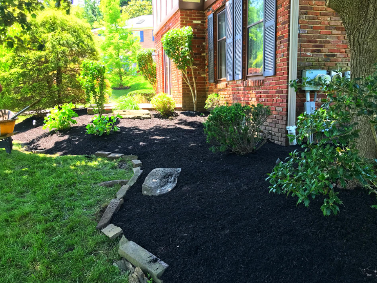 Freshly mulched garden bed with small shrubs and stone edging along the side of a brick house.