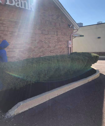 A person in a blue hoodie stands next to a trimmed hedge in front of a brick building labeled 