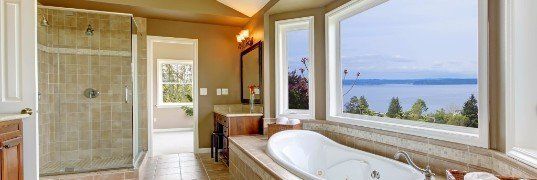 Mirrors and Shower Door