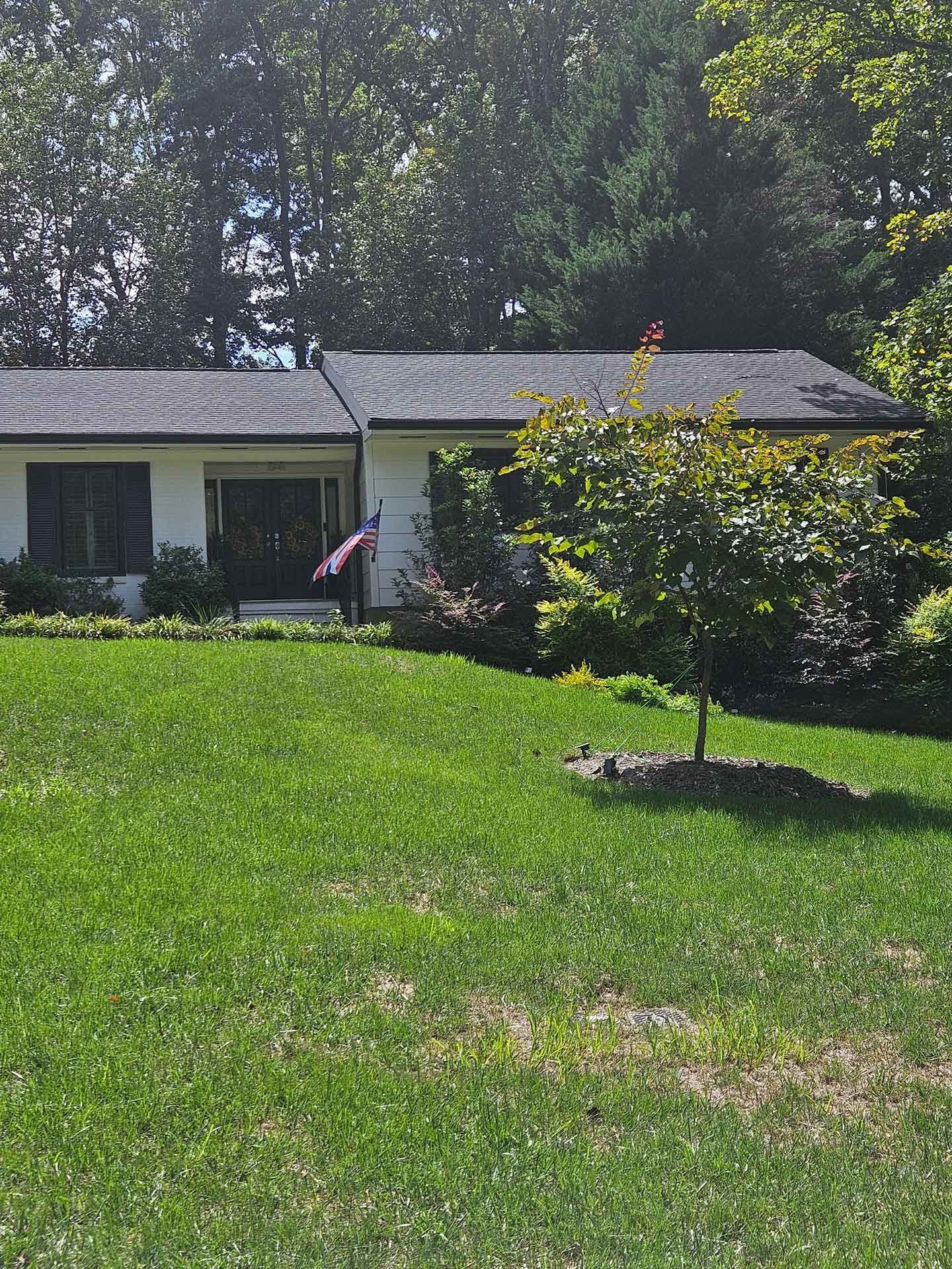 A house with a large lawn in front of it surrounded by trees.