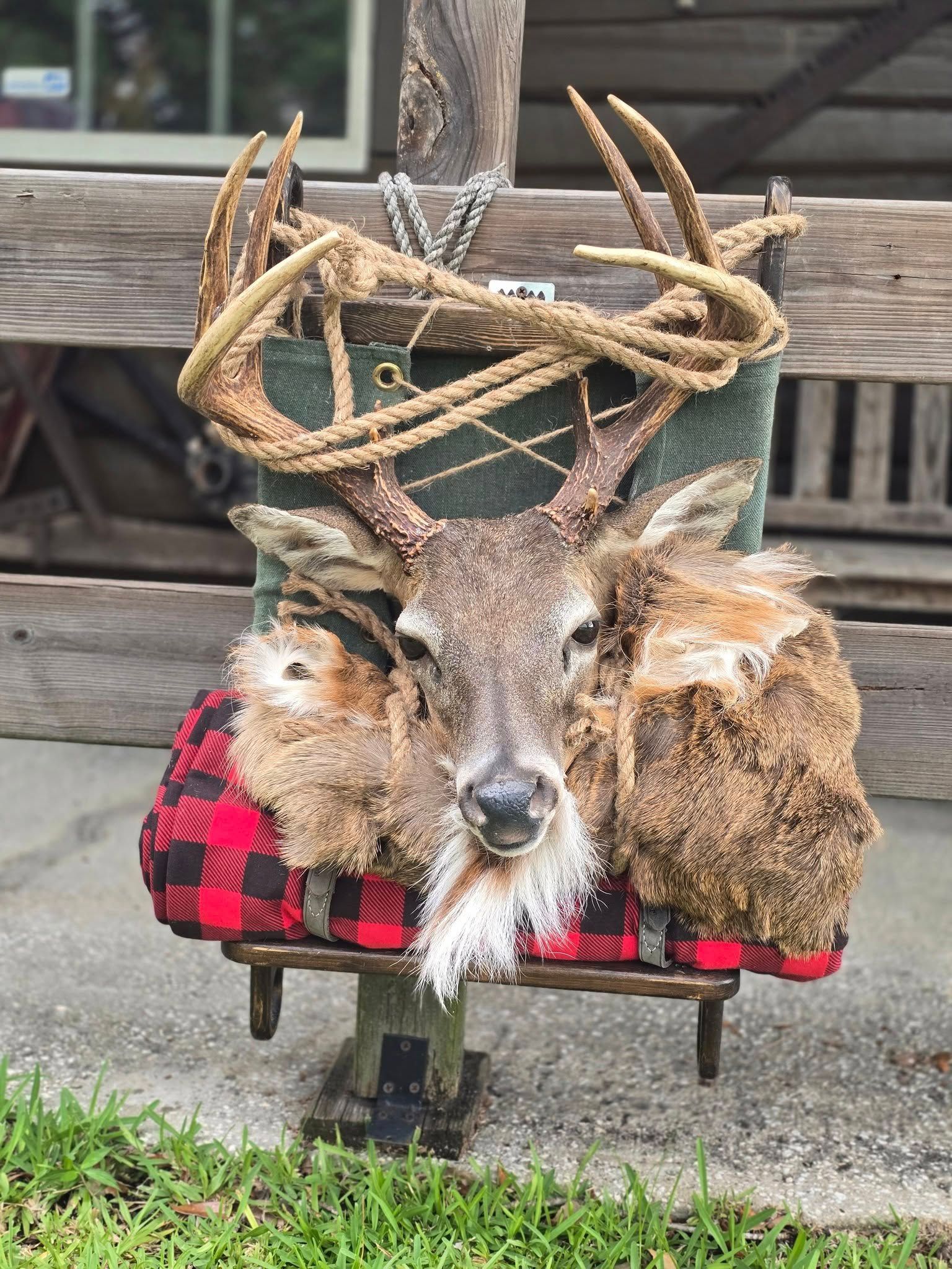 A taxidermized deer head