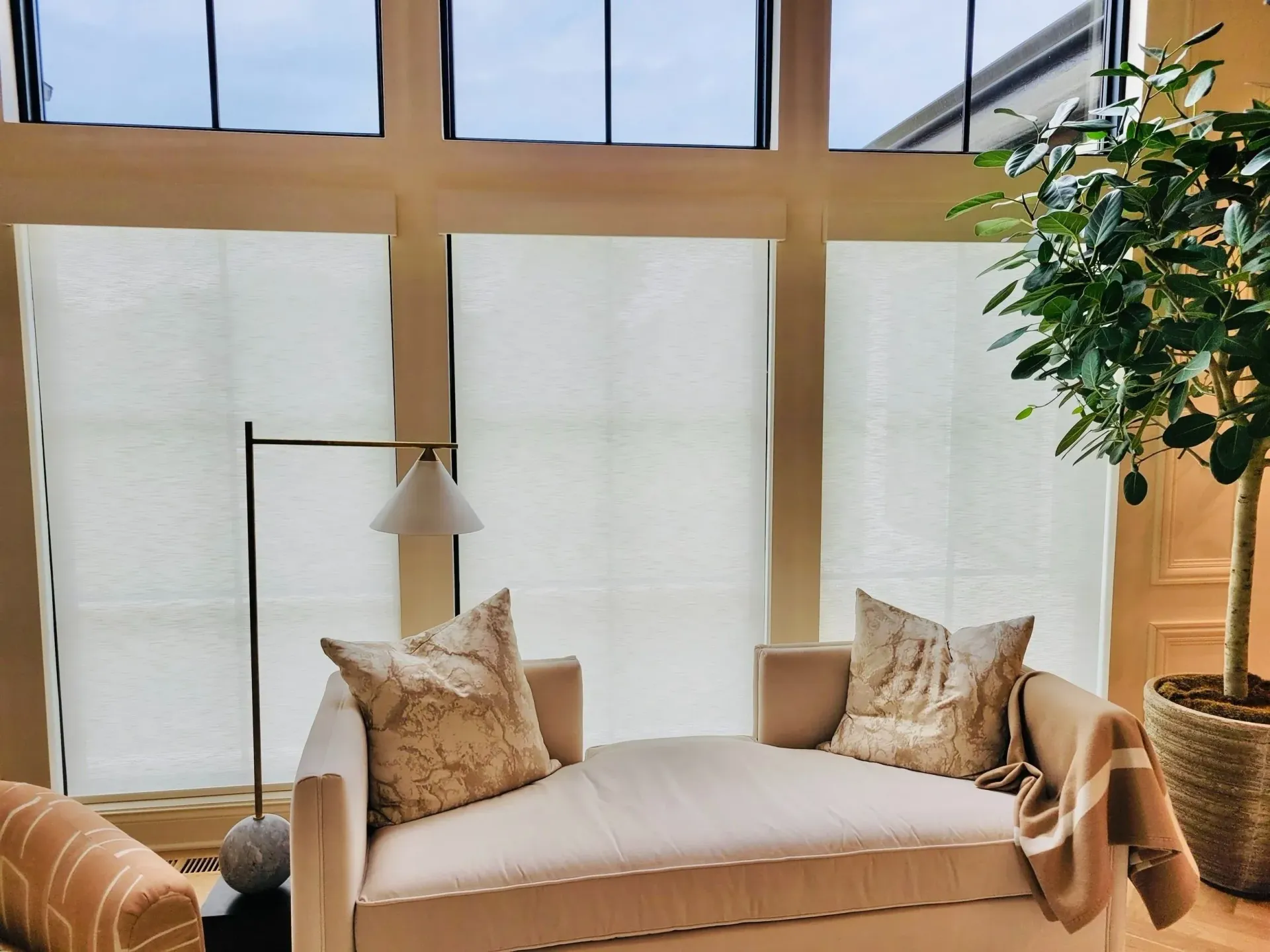 Living room with large windows, light-colored chaise lounge, floor lamp, and potted tree.