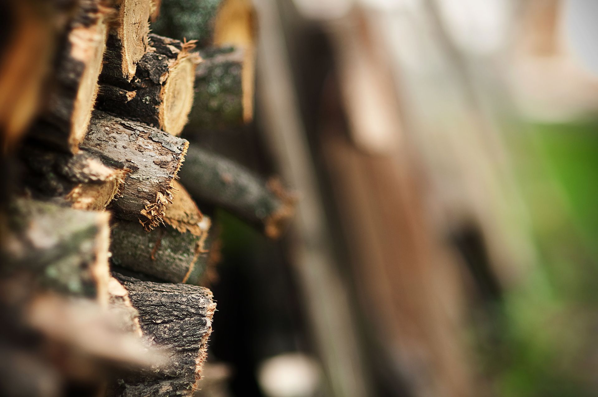 8 Qualities to Look for When Choosing Firewood for Sale