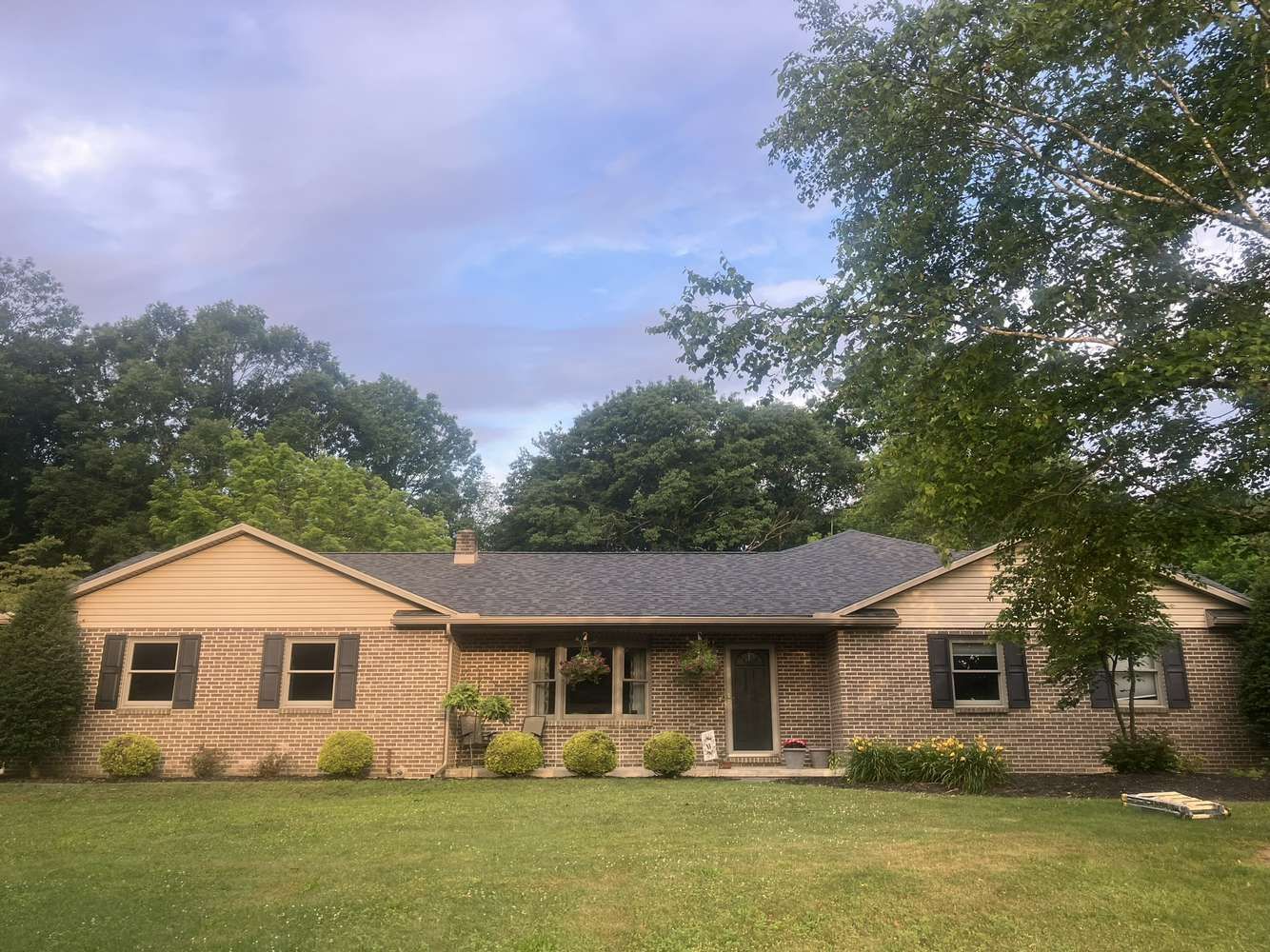 A large house with a lot of windows and a roof is surrounded by trees.