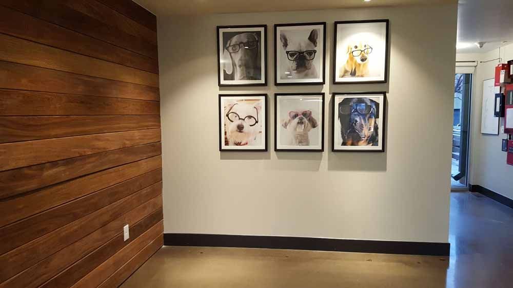 a hallway with pictures of dogs on the wall