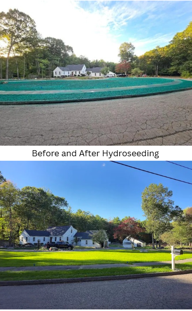 Before and after images of a residential lawn showing a green hydroseeded area transformed into a lush, green grassy yard.