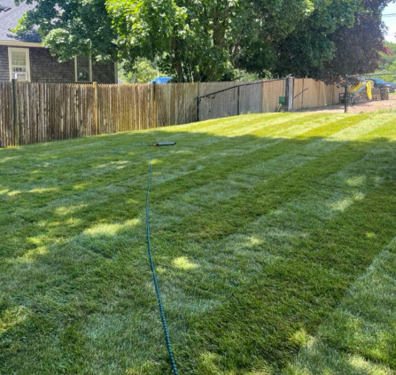 Lawn with striped pattern, wooden fence, hose, and trees in a sunny backyard.