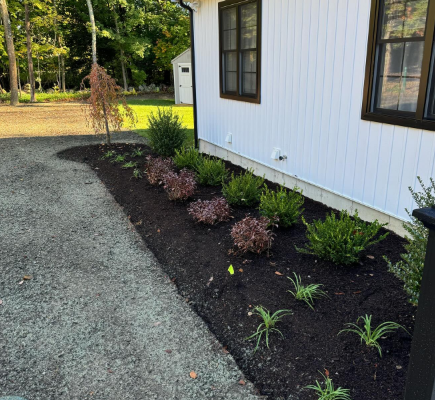 A flower bed with plants, mulch, and a gravel driveway next to a white house with black trim.