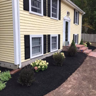 Yellow house with black shutters, landscaping with dark mulch, and brick pathway.