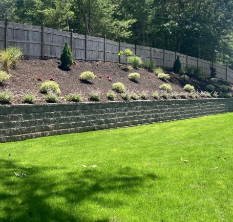 Green lawn in front of a retaining wall with shrubs and a wooden fence.