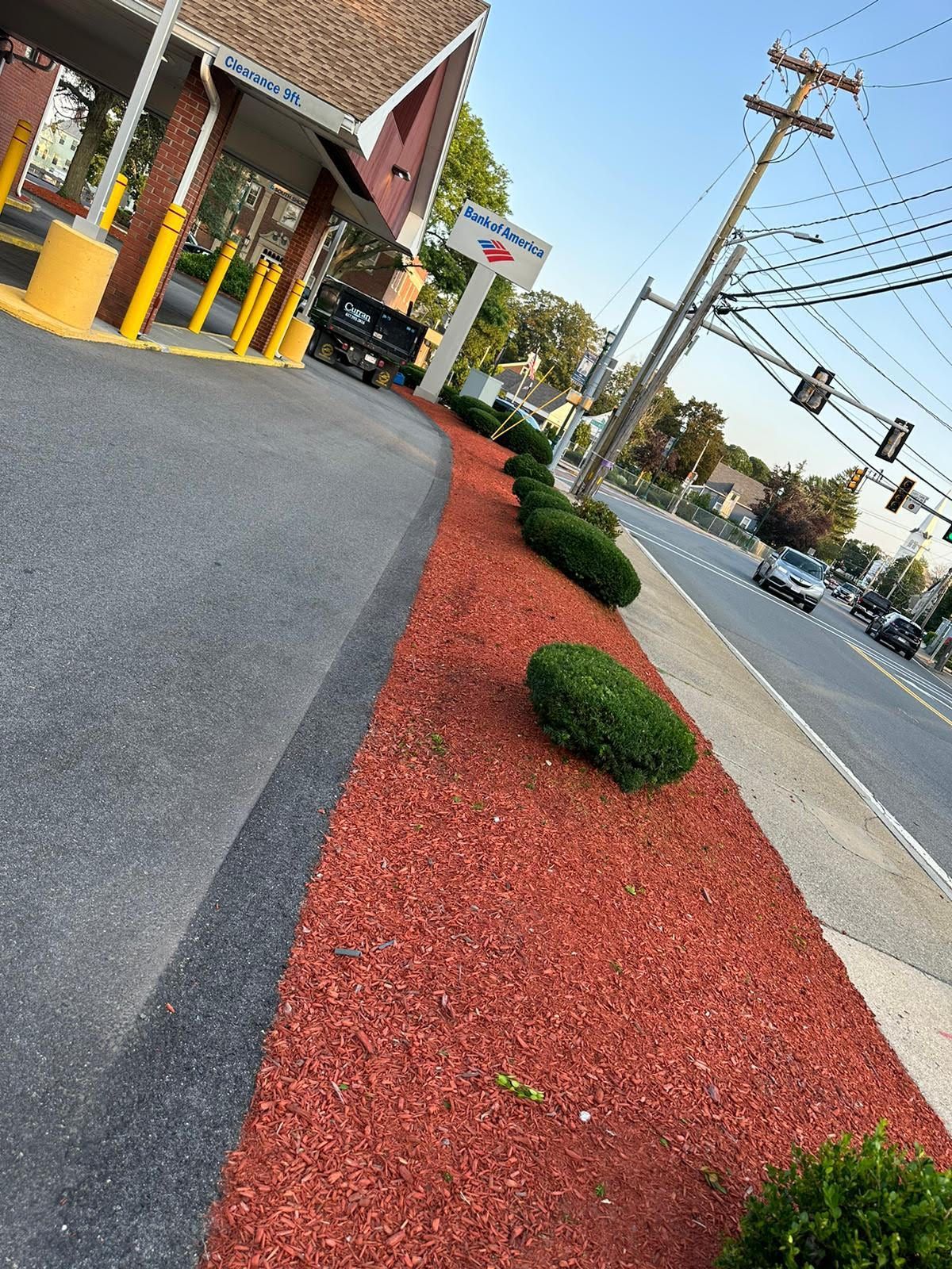 Bank of America with red mulch and green bushes bordering the street; asphalt and traffic lights visible.