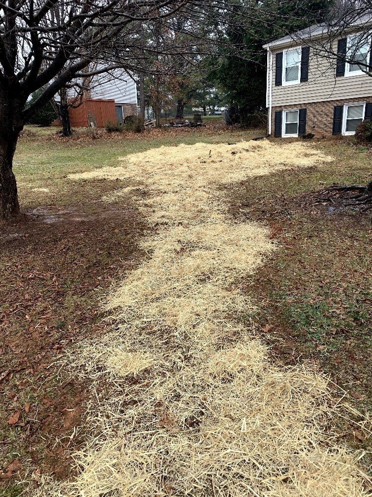 Lights Plumbing & Drain Cleaning LLC work