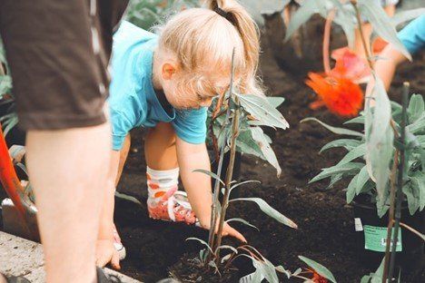 Child planting a seedling in dark soil beside an adult in a garden bed