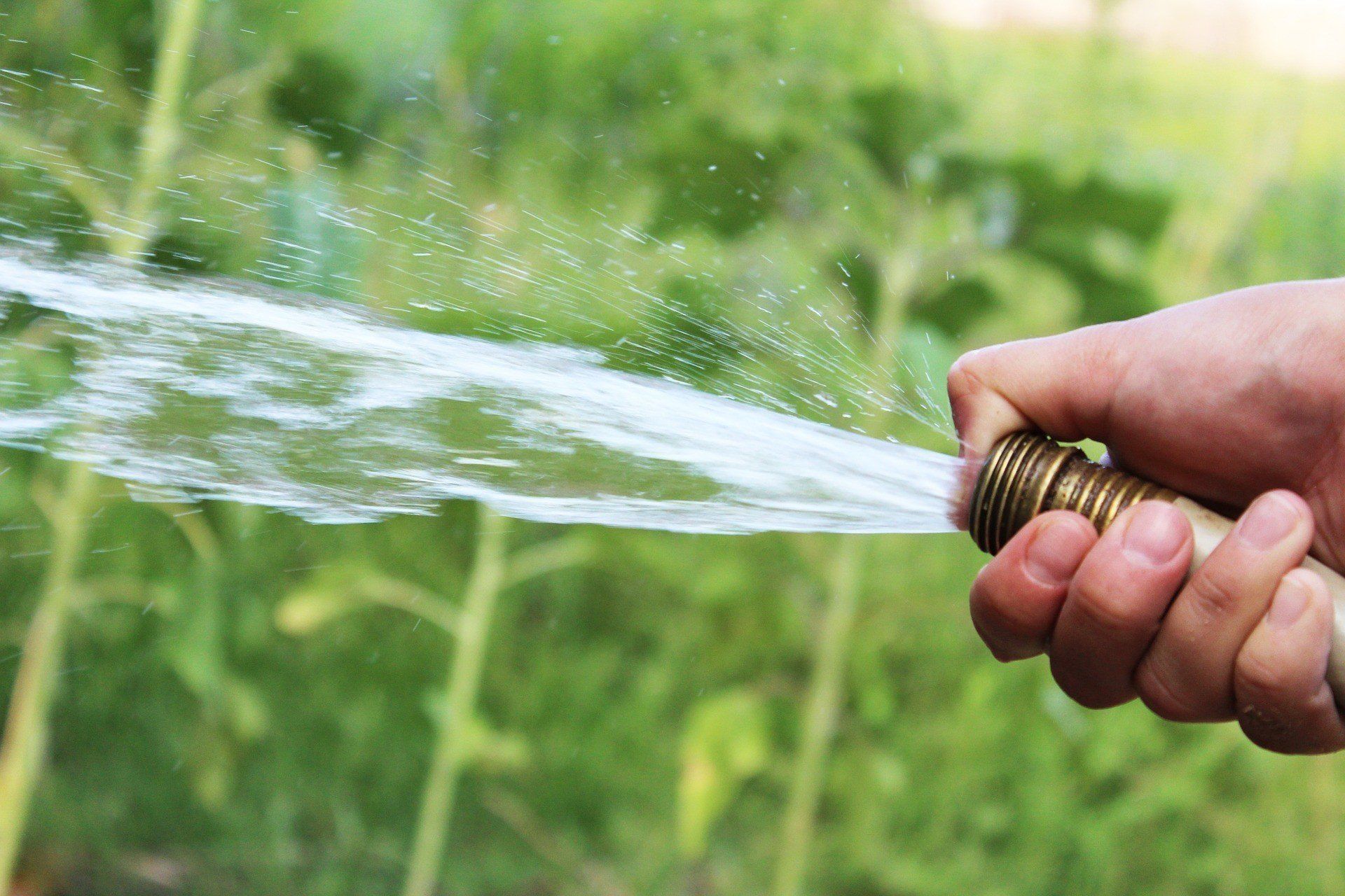Hand holding a brass hose nozzle spraying water into a green garden