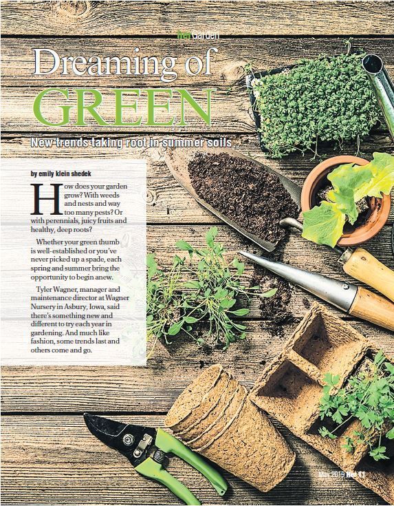 Gardening tools, seedlings, and herbs on rustic wood beside a magazine titled “Dreaming of GREEN”