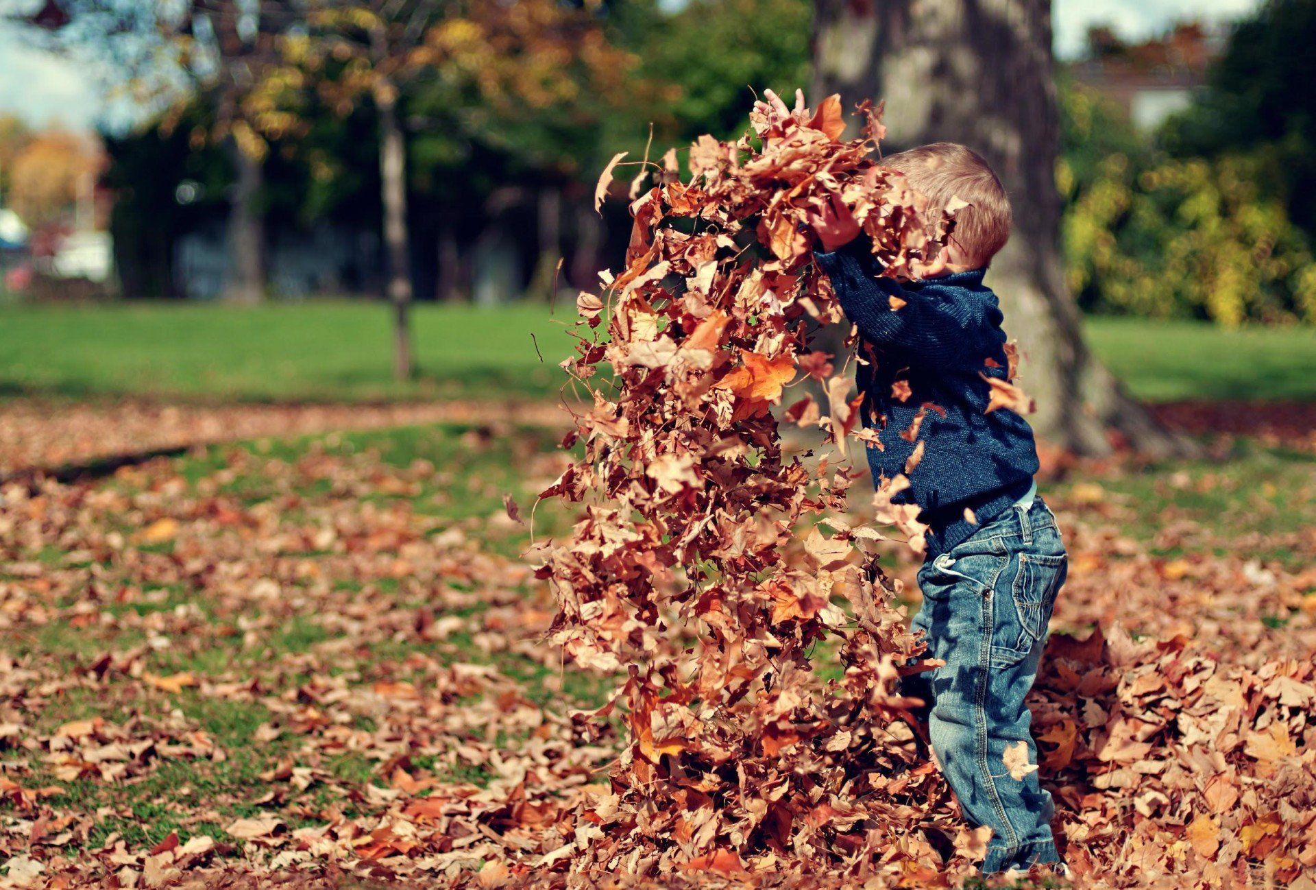Child playing in a park, tossing autumn leaves into the air