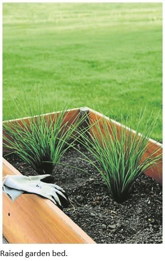 Raised garden bed with young green plants and a gloved hand in dark soil, grassy lawn behind