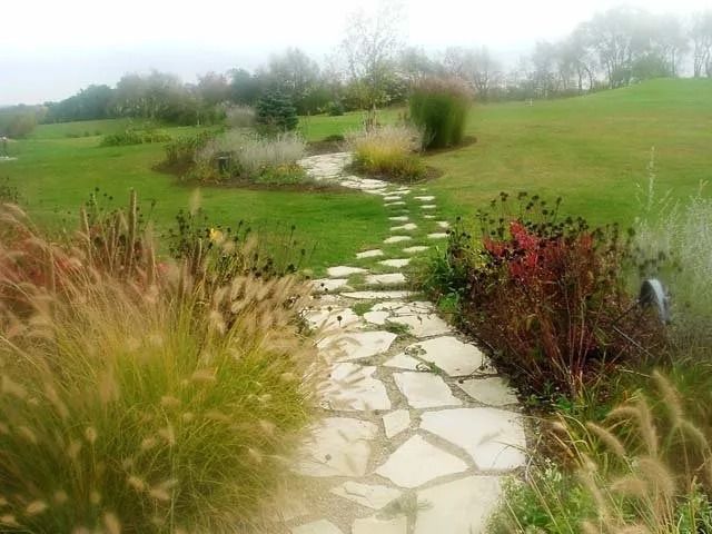Stone path through grassy field with shrubs and flowers on a misty hillside