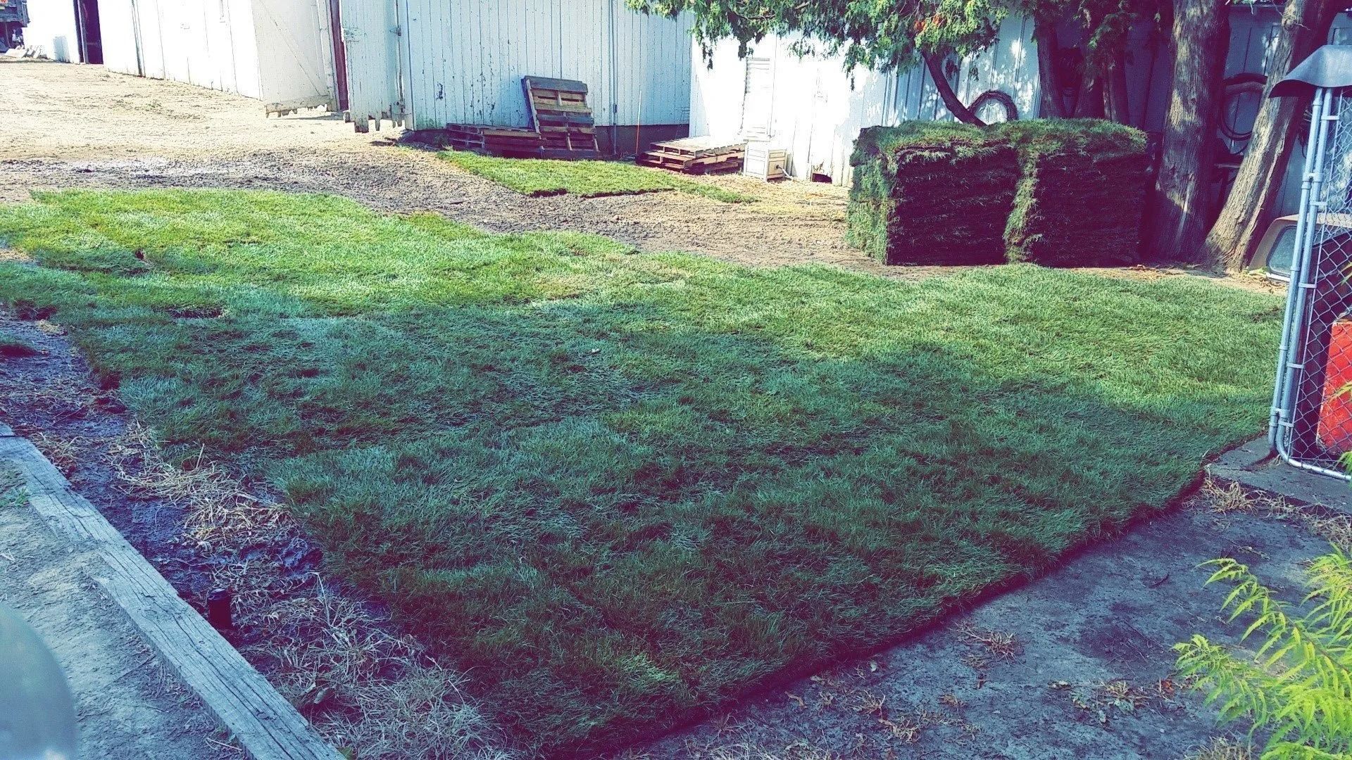 Small grassy yard beside a white building, with concrete paths and a few stacked items near the wall.