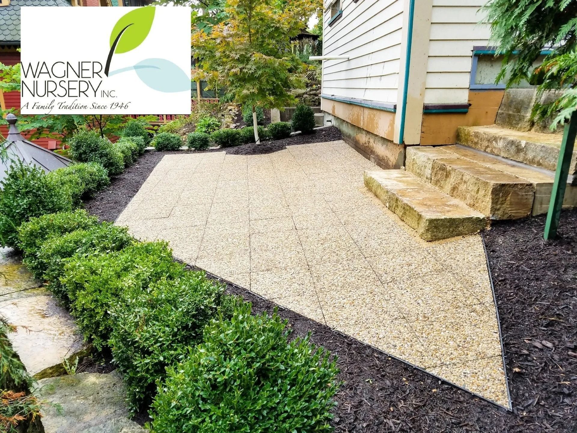 Landscaped gravel walkway beside a house with low green hedges and stone steps, with nursery logo overlay.