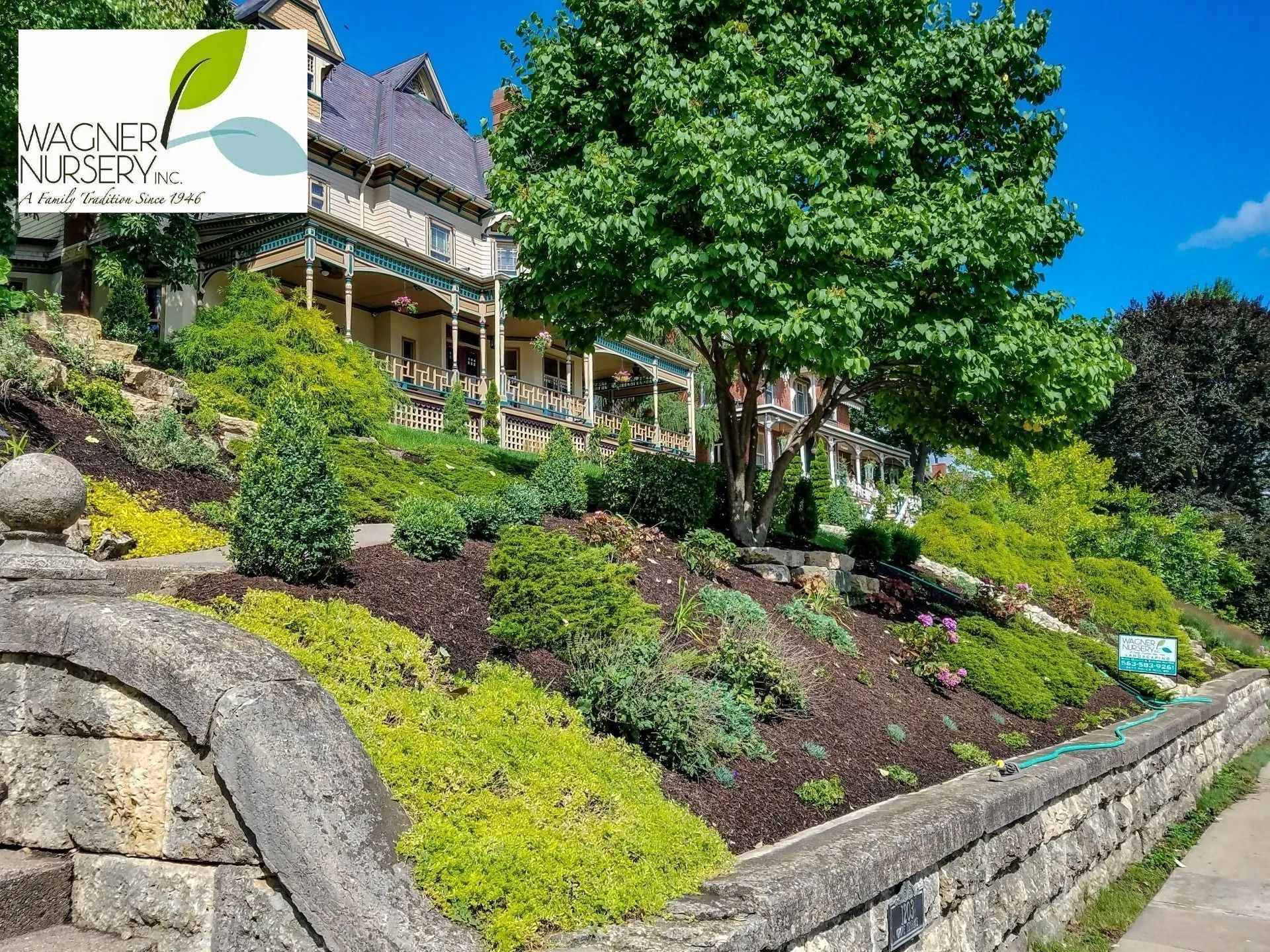 House with lush landscaped hillside garden, stone wall, and large green tree under a blue sky