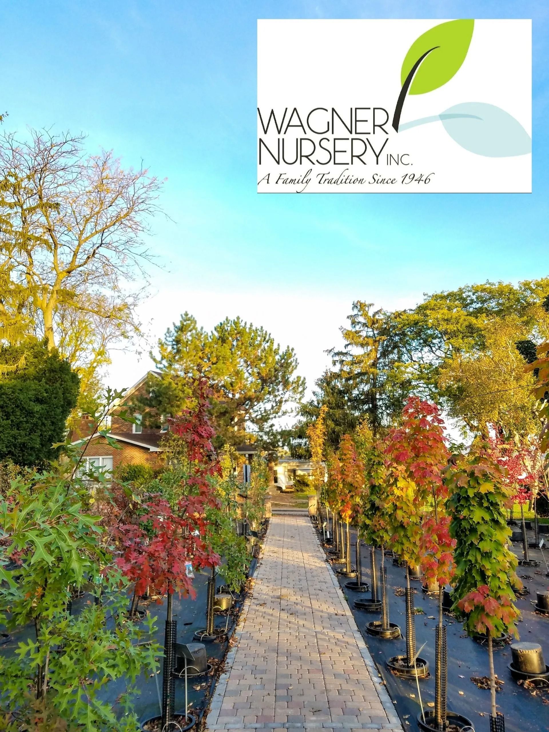 Garden center aisle lined with colorful trees, with Wagner Nursery logo at top right.