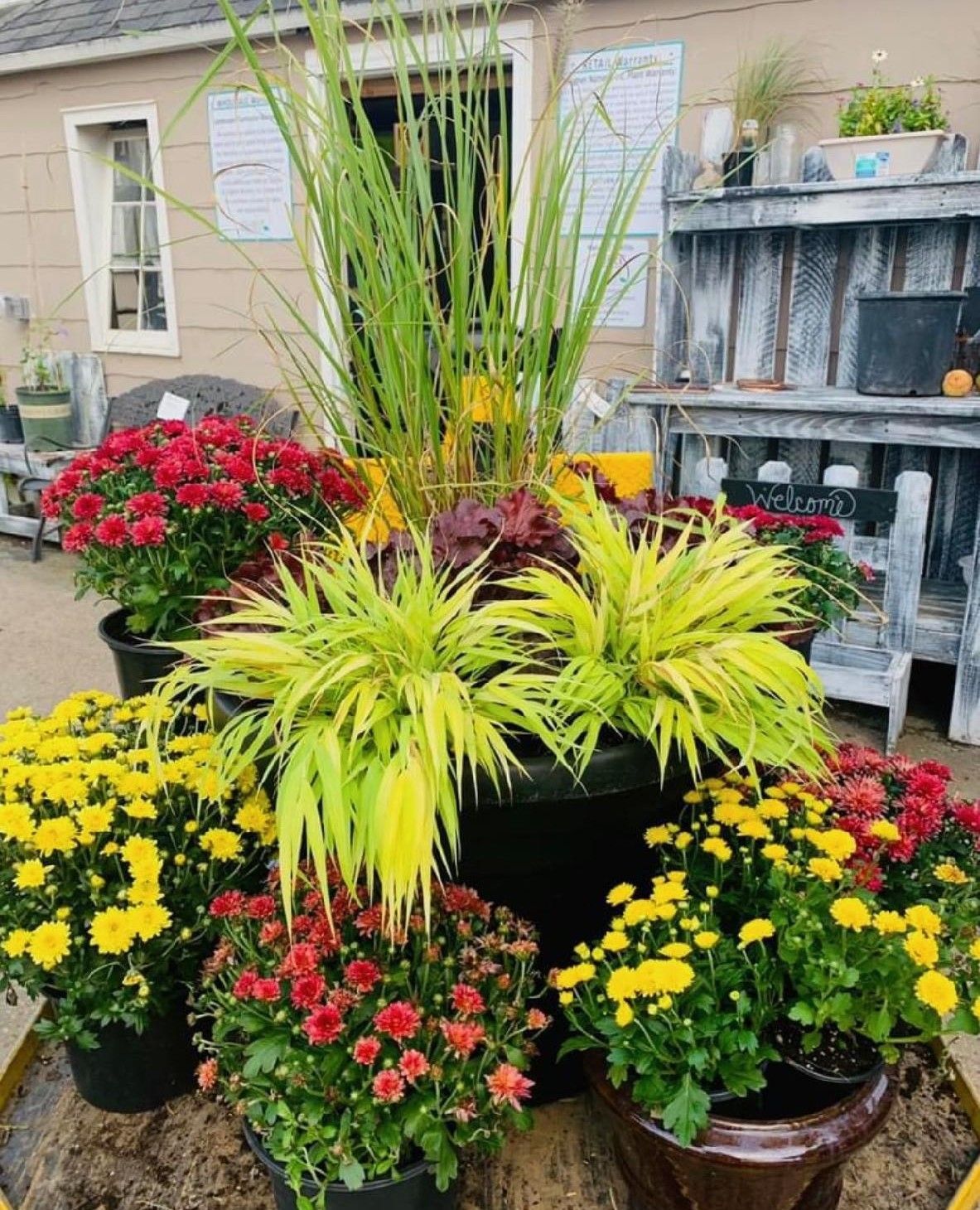 Colorful potted flowers and grasses arranged on a porch beside rustic wooden decor