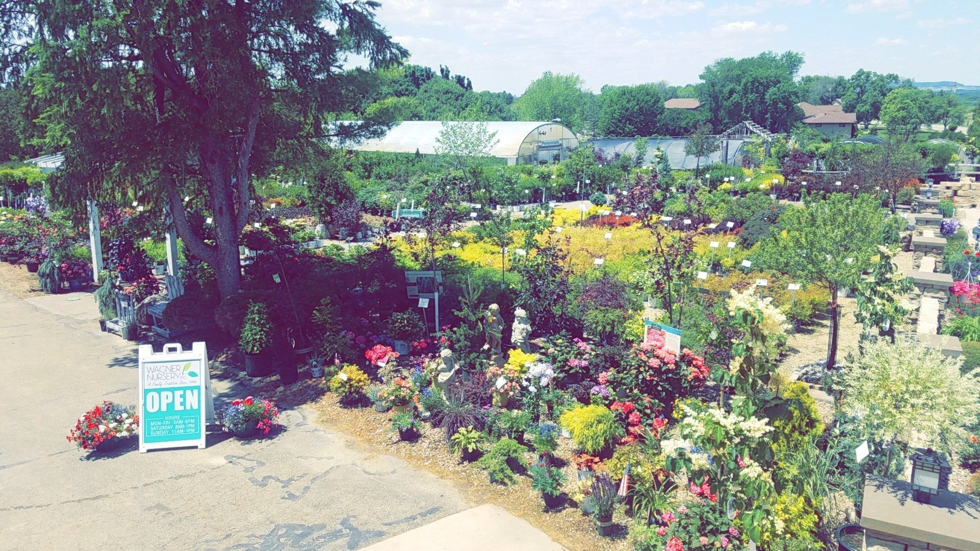 Garden center with colorful flowers, potted plants, and a small “OPEN” sign by the path