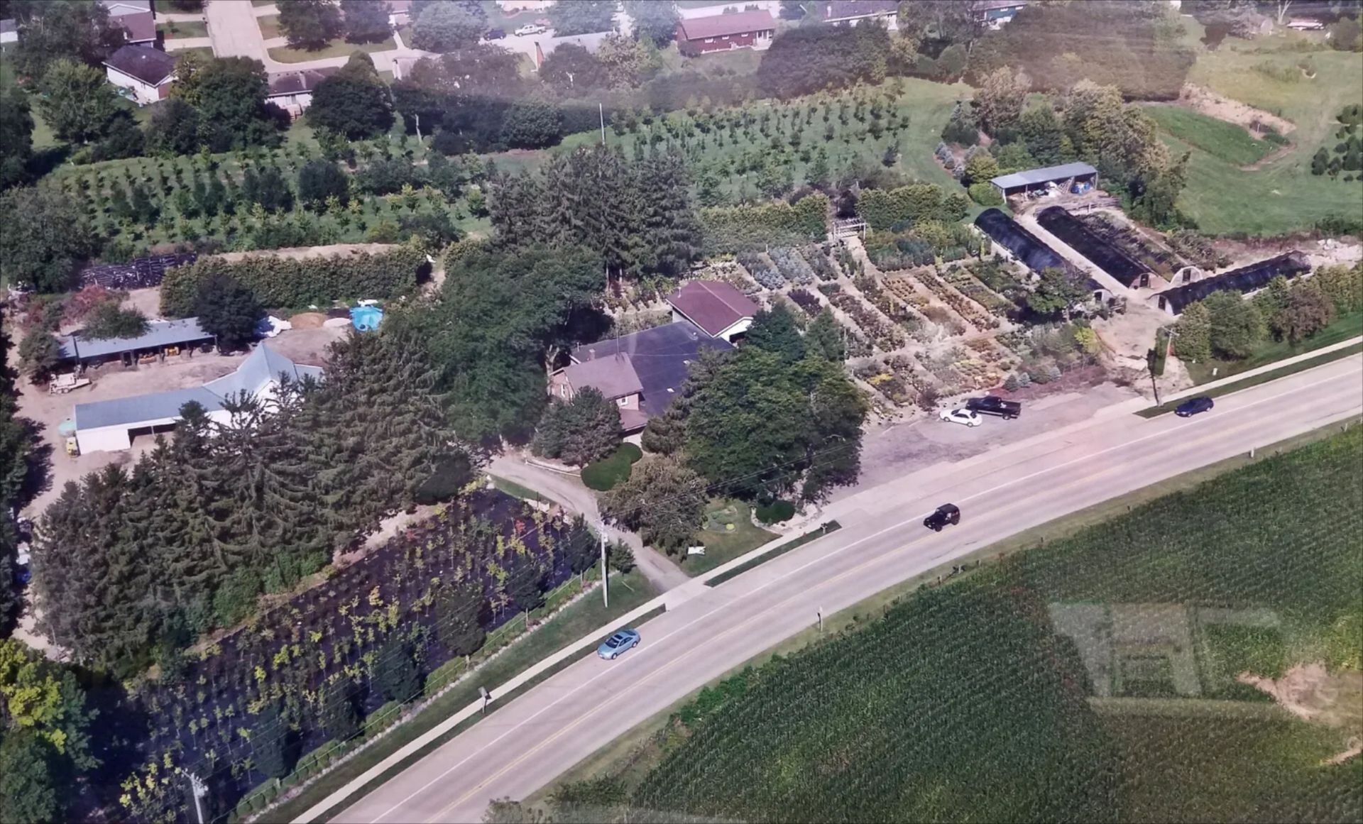 Aerial view of a rural roadside with houses, trees, and fields under a bright sky