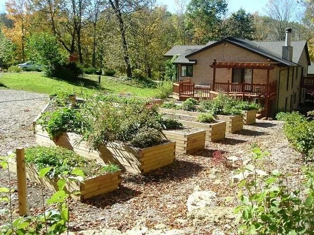 Terraced garden beds with plants beside a small wooden cabin in a sunny wooded yard