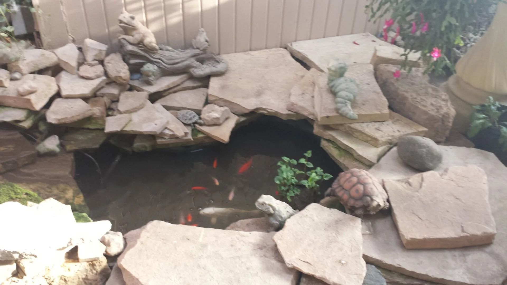 Rock-bordered garden pond with dark water, stepping stones, and a small red fish near floating plants