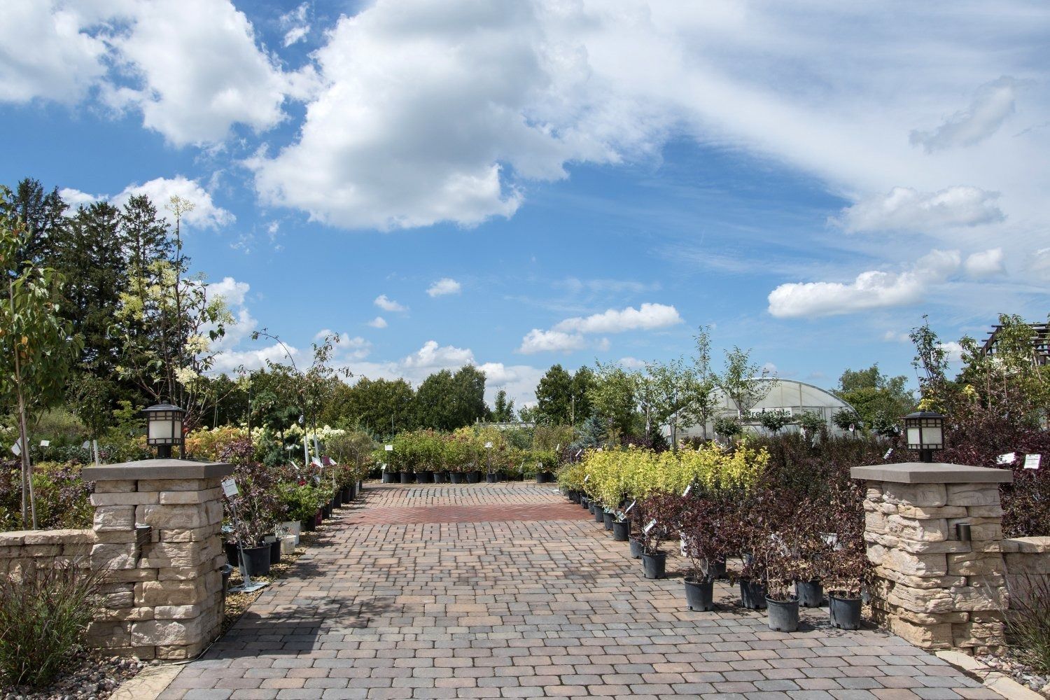 Brick garden path leading between potted plants under a blue sky with clouds