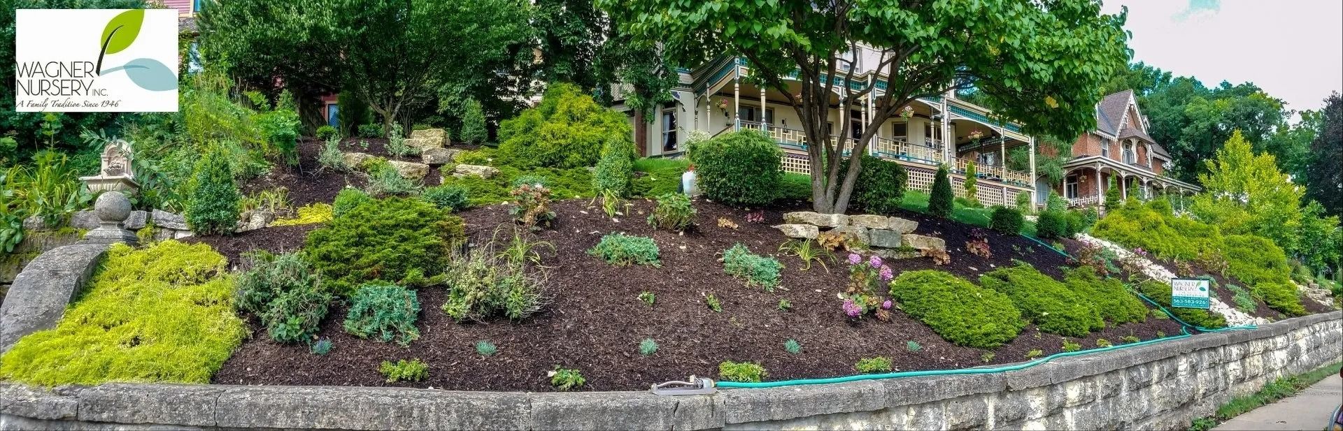Landscaped garden with purple flowers, green shrubs, and stone edging along a pathway
