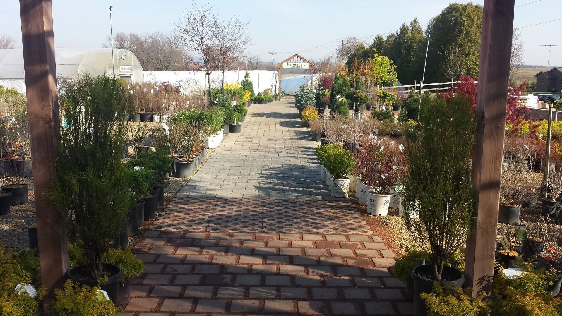 Brick path through a garden lined with shrubs and flowers under bright sunlight