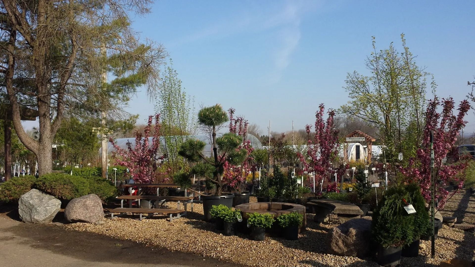 Landscaped garden with blooming shrubs, planters, rocks, and benches under a clear blue sky