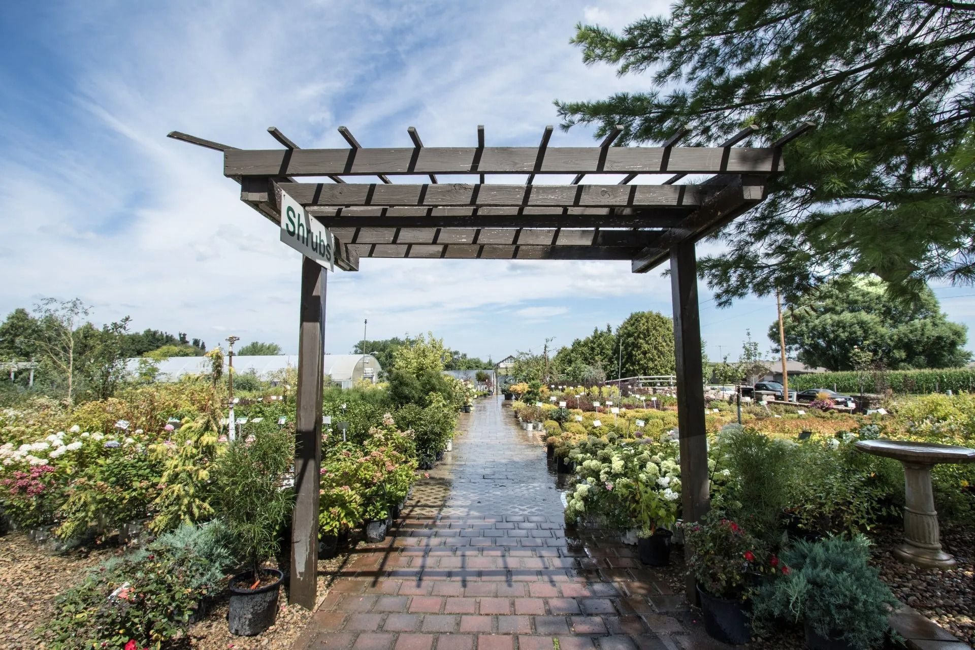 Garden path under a wooden archway, surrounded by rows of flowering plants under a blue sky.