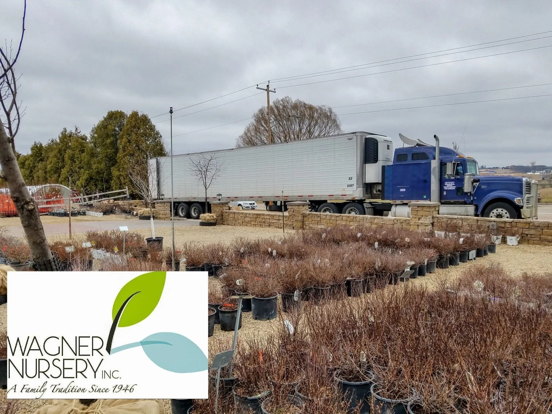 Blue semi-truck beside rows of potted plants at a nursery with a Wagner Nursery logo overlay