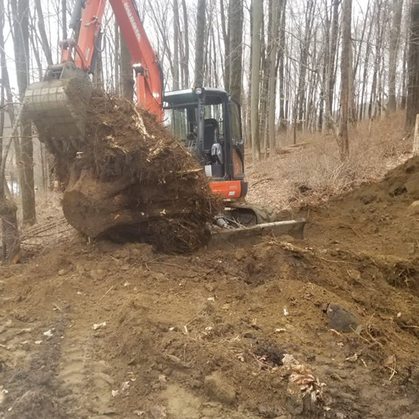 Stump Removal