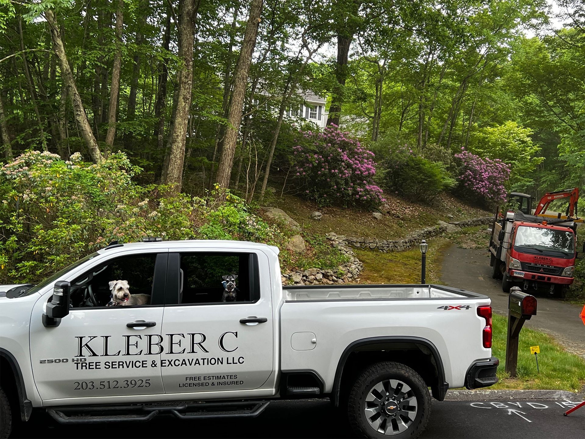 Service truck with cute dogs