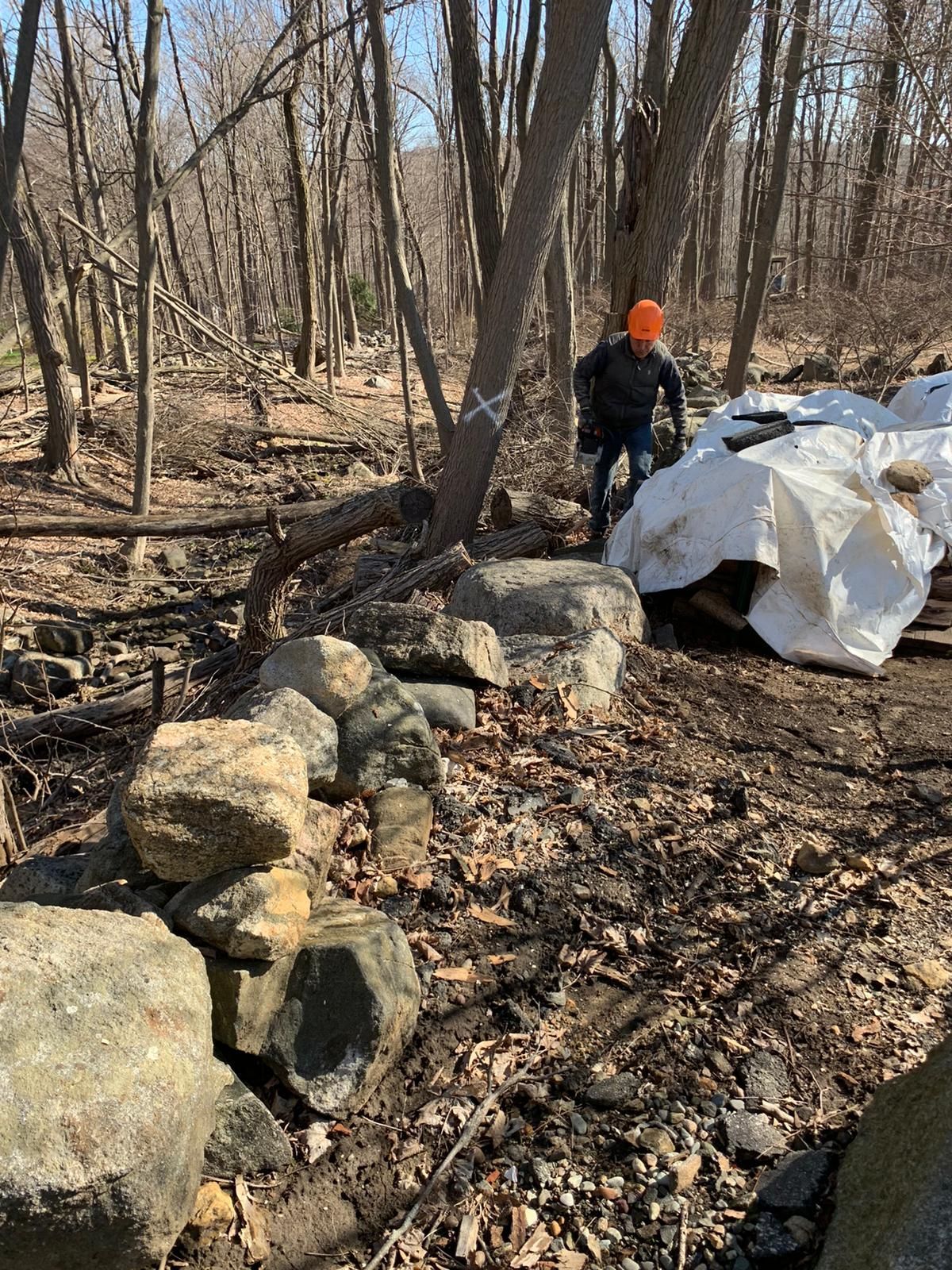 Tree removal service