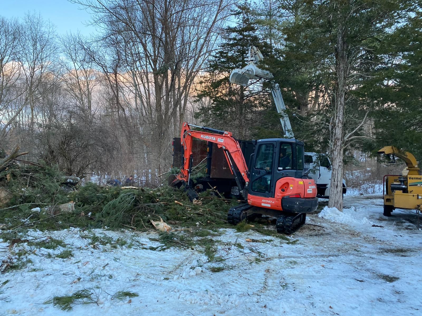 Tree removal with snow