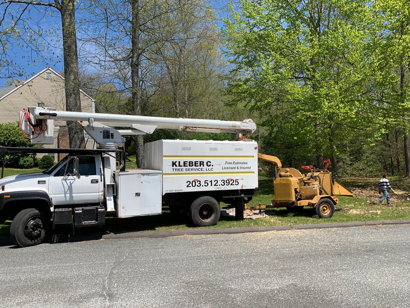 Tree removal service